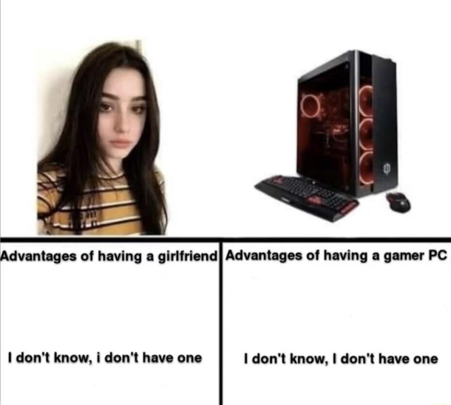 Advantages of having a girlfriend Advantages of having a gamer PC 1 dont know dont have one I dont know dont have one