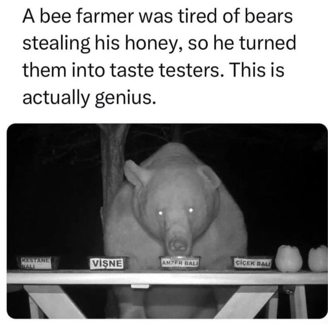 A bee farmer was tired of bears stealing his honey so he turned them into taste testers This is actually genius