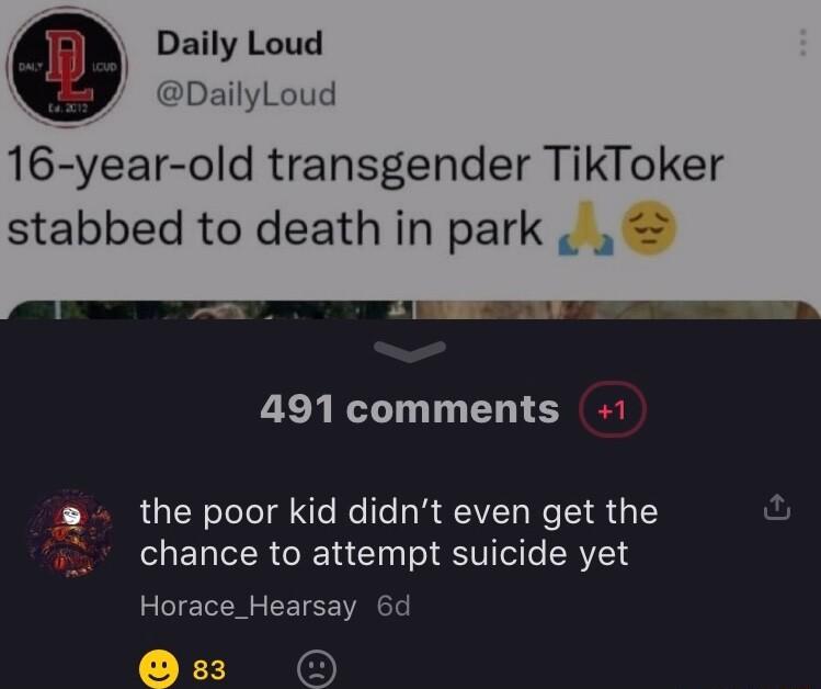 Daily Loud DailyLoud 16 year old transgender TikTok stabbed to death in park 491 comments 1 s the poor kid didnt even get the chance to attempt suicide yet Horace_Hearsay 6d sz O