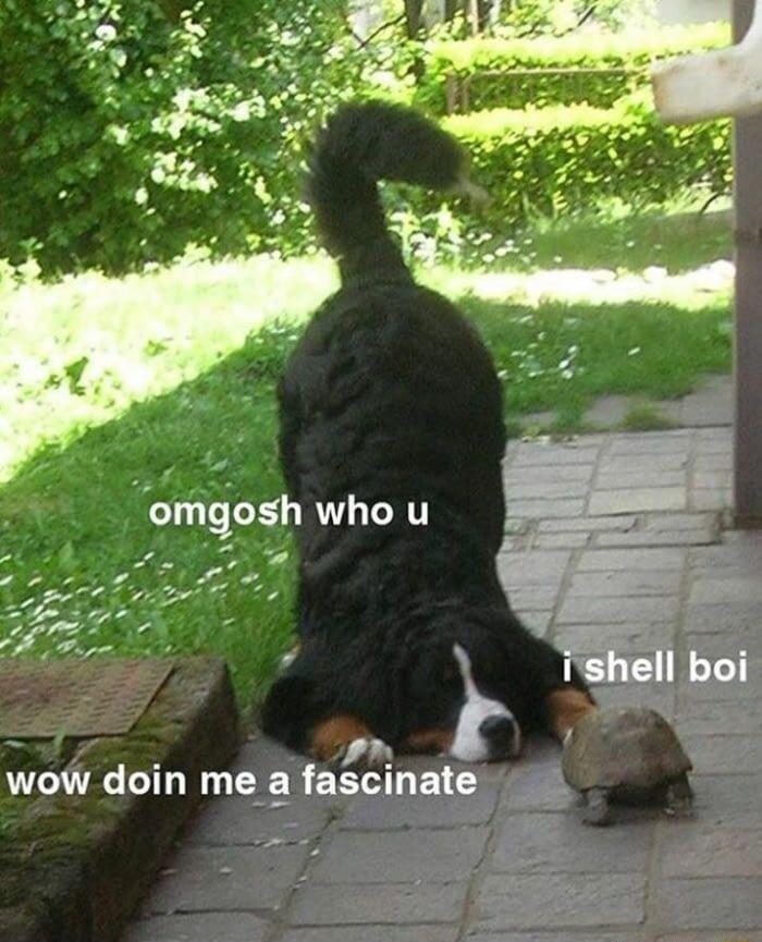 oy f omgosh who u A n r wow doin me a fascinate