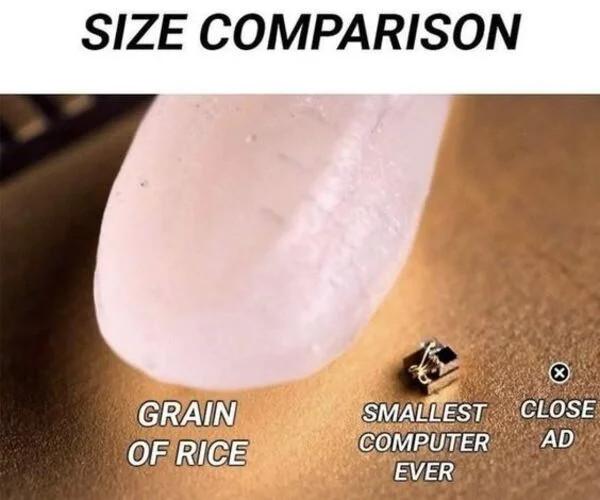 SIZE COMPARISON