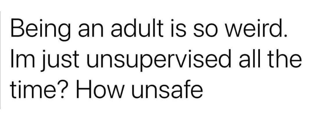 Being an adult is so weird Im just unsupervised all the time How unsafe