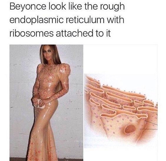 Beyonce look like the rough endoplasmic reticulum with ribosomes attached to it