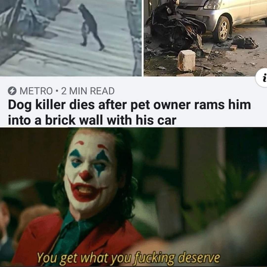 METRO VIN READ Dog killer dies after pet owner rams him into a brick wall with his car You get what youliflickingidesernve