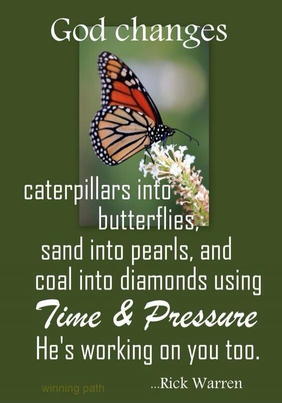 God changes caterpillars into butterflies, sand into pearls, and coal into diamonds using Time & Pressure He's working on you too. winning path ...Rick Warren