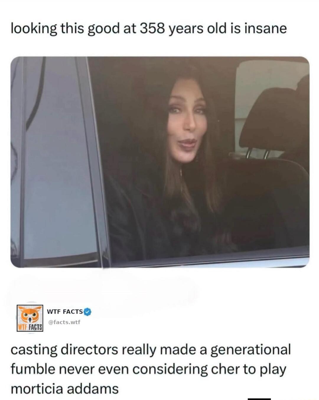 Looking this good at 358 years old is insane. Casting directors really made a generational fumble never even considering Cher to play Morticia Addams.