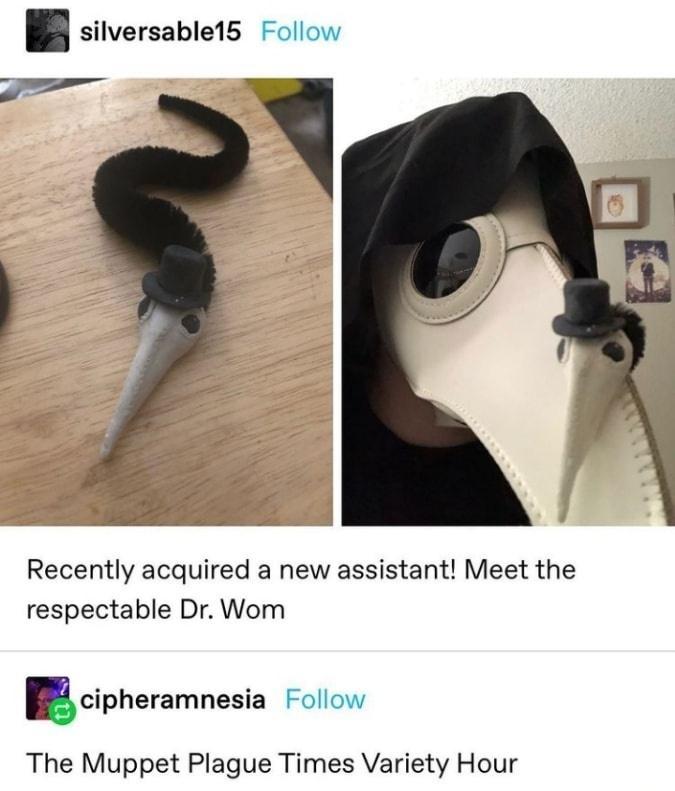 silversable15 Follow Recently acquired a new assistant Meet the respectable Dr Wom Ecipheramnesia Follow The Muppet Plague Times Variety Hour