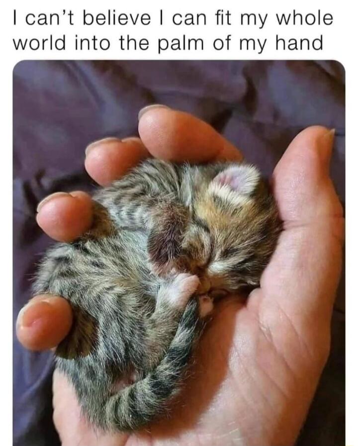 cant believe can fit my whole world into the palm of my hand