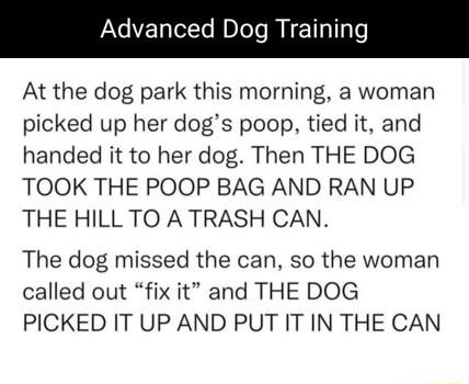 Advanced Dog Training At the dog park this morning a woman picked up her dogs poop tied it and handed it to her dog Then THE DOG TOOK THE POOP BAG AND RAN UP THE HILL TO A TRASH CAN The dog missed the can so the woman called out fix it and THE DOG PICKED IT UP AND PUT IT IN THE CAN