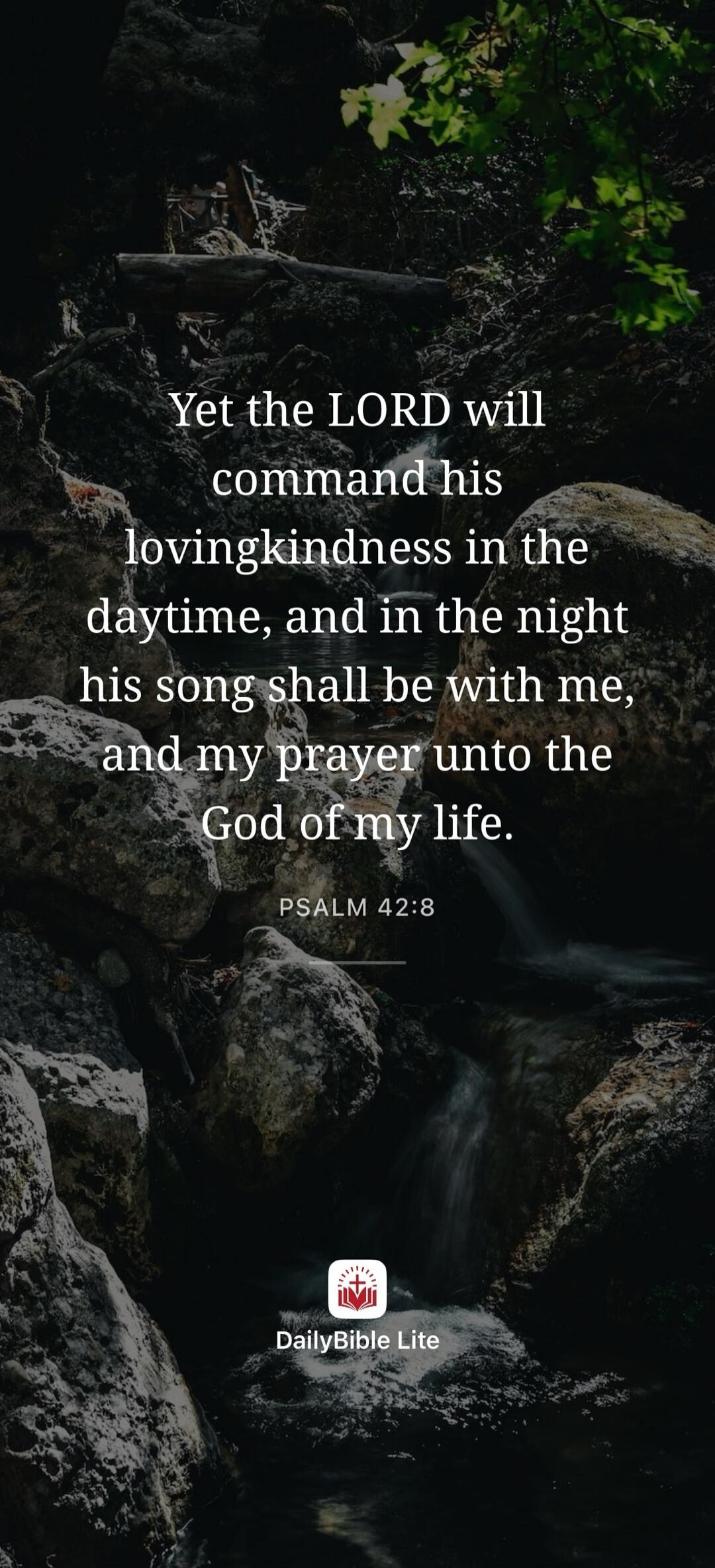 Yet the LORD will command his lovingkindness in the daytime, and in the night his song shall be with me, and my prayer unto the God of my life. PSALM 42:8 DailyBible Lite