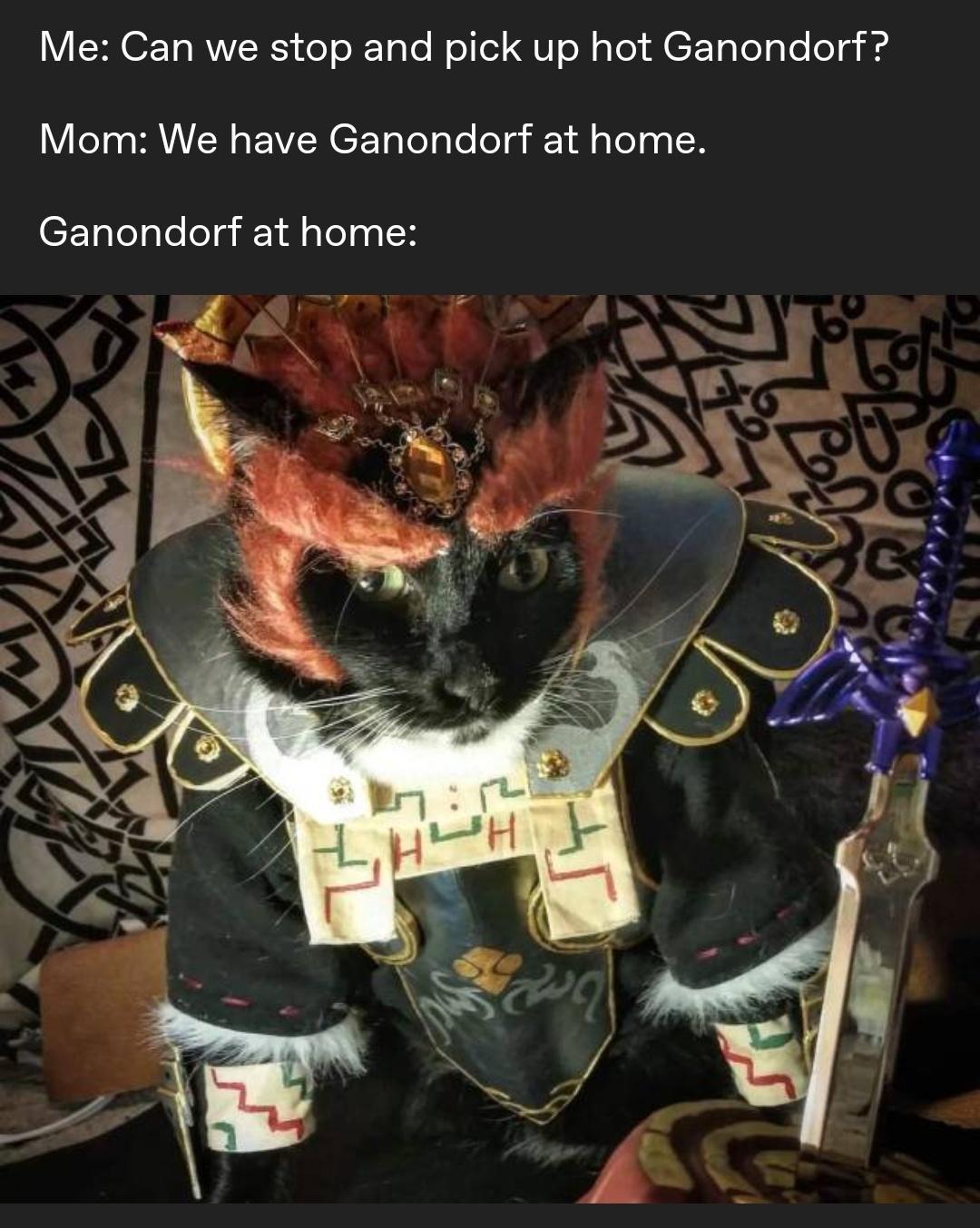 Me Can we stop and pick up hot Ganondorf Mom We have Ganondorf at home Ganondorf at home