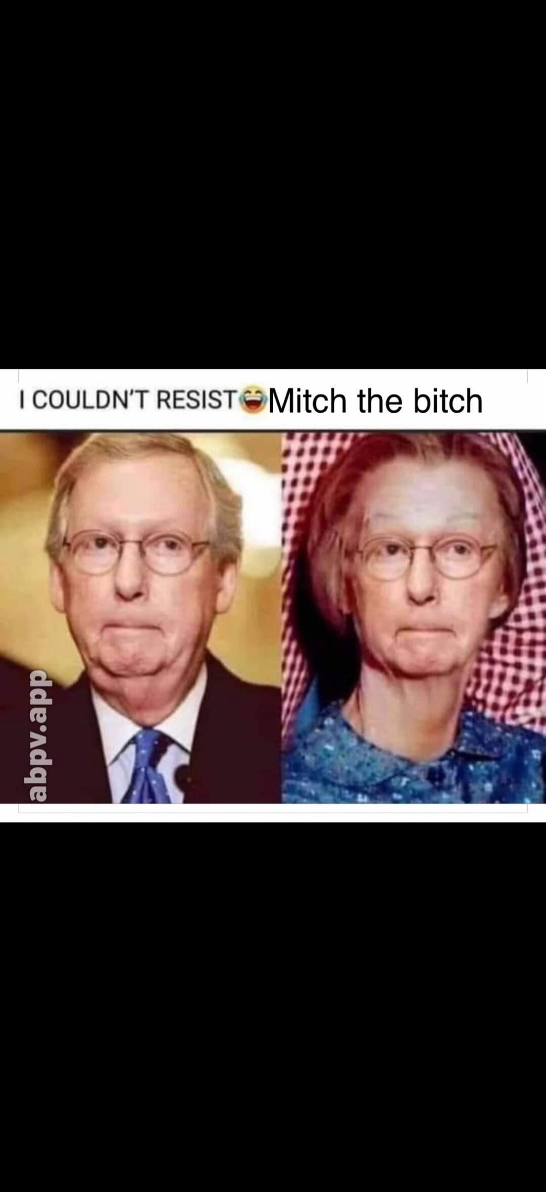 I COULDN'T RESIST 😂 Mitch the bitch