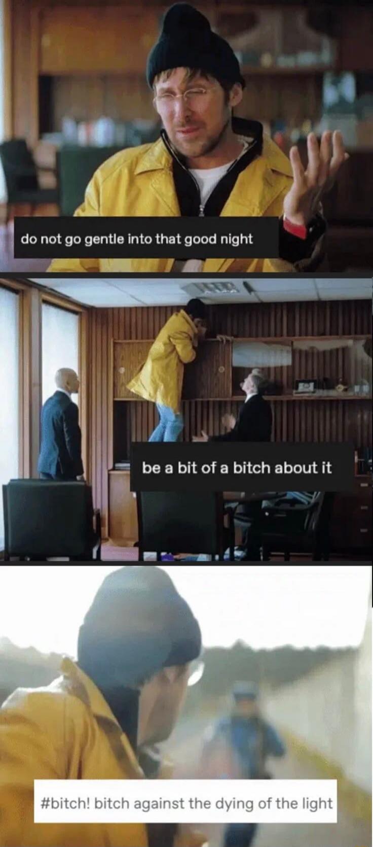 do not go gentle into that good night be a bit of a bitch about it #bitch! bitch against the dying of the light