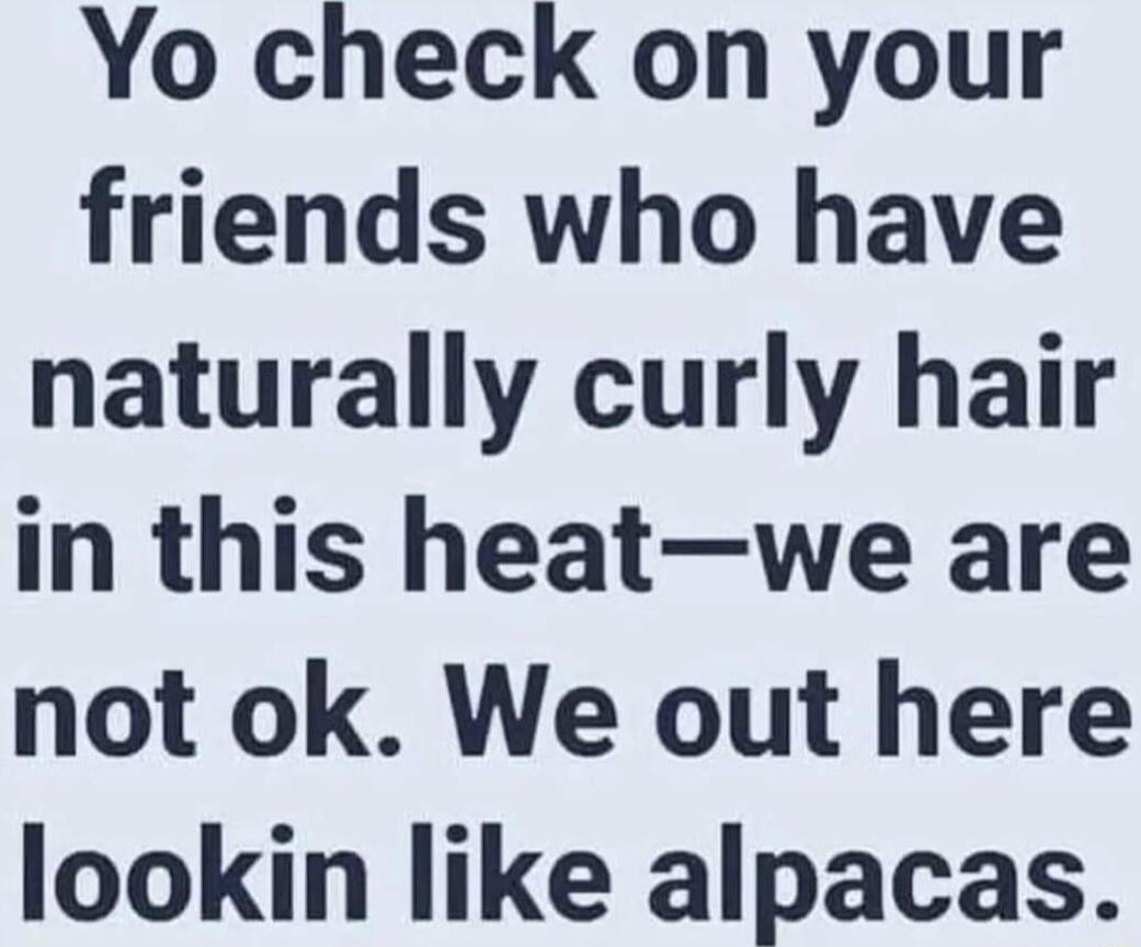 Yo check on your friends who have naturally curly hair in this heatwe are not ok We out here lookin like alpacas