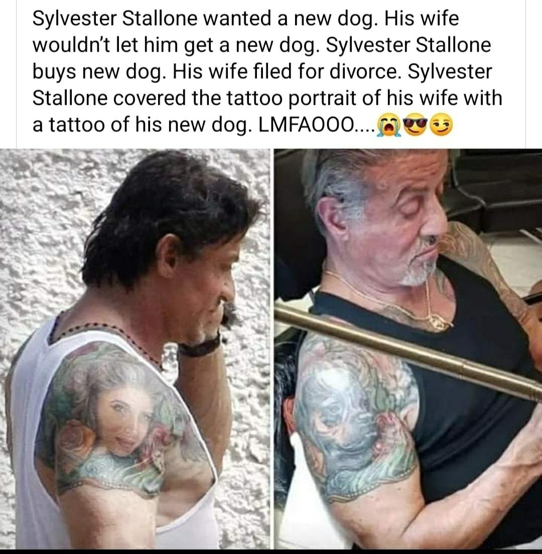 Sylvester Stallone wanted a new dog His wife wouldnt et him get a new dog Sylvester Stallone buys new dog His wife filed for divorce Sylvester Stallone covered the tattoo portrait of his wife with atattoo of his new dog LMFAQQOs