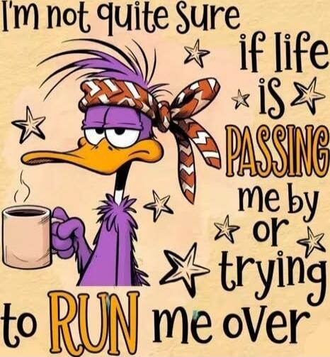 I'm not quite sure if life is passing me by or trying to RUN me over