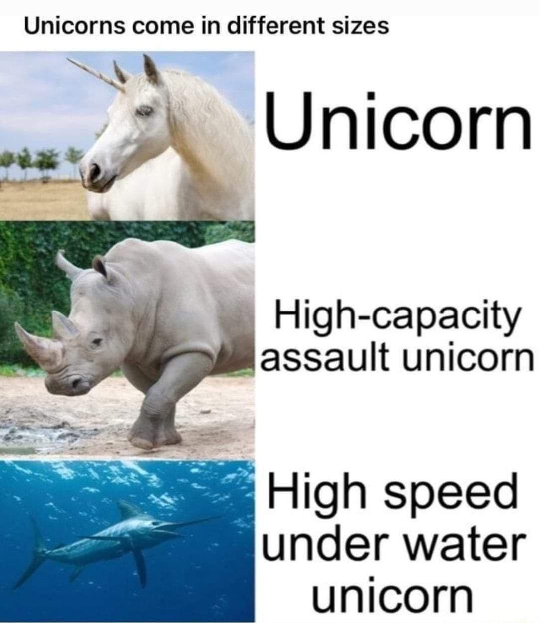 Unicorns come in different sizes Uy t Unicorn A W Potupter High capacity assault unicorn High speed under water unicorn