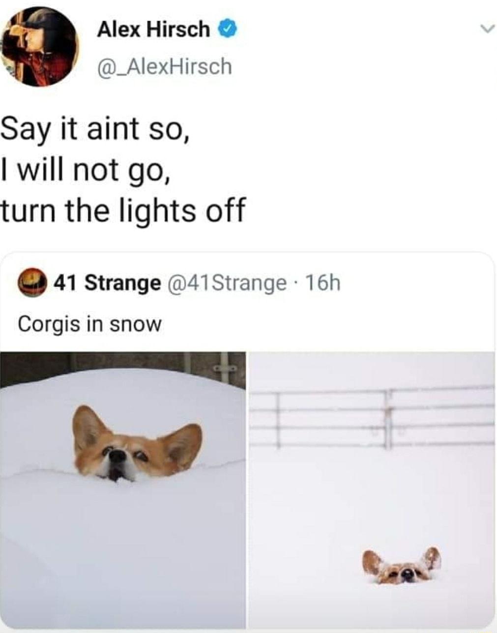 Alex Hirsch _AlexHirsch Say it aint so will not go turn the lights off 41 strange 41Strange 16h Corgis in snow bped