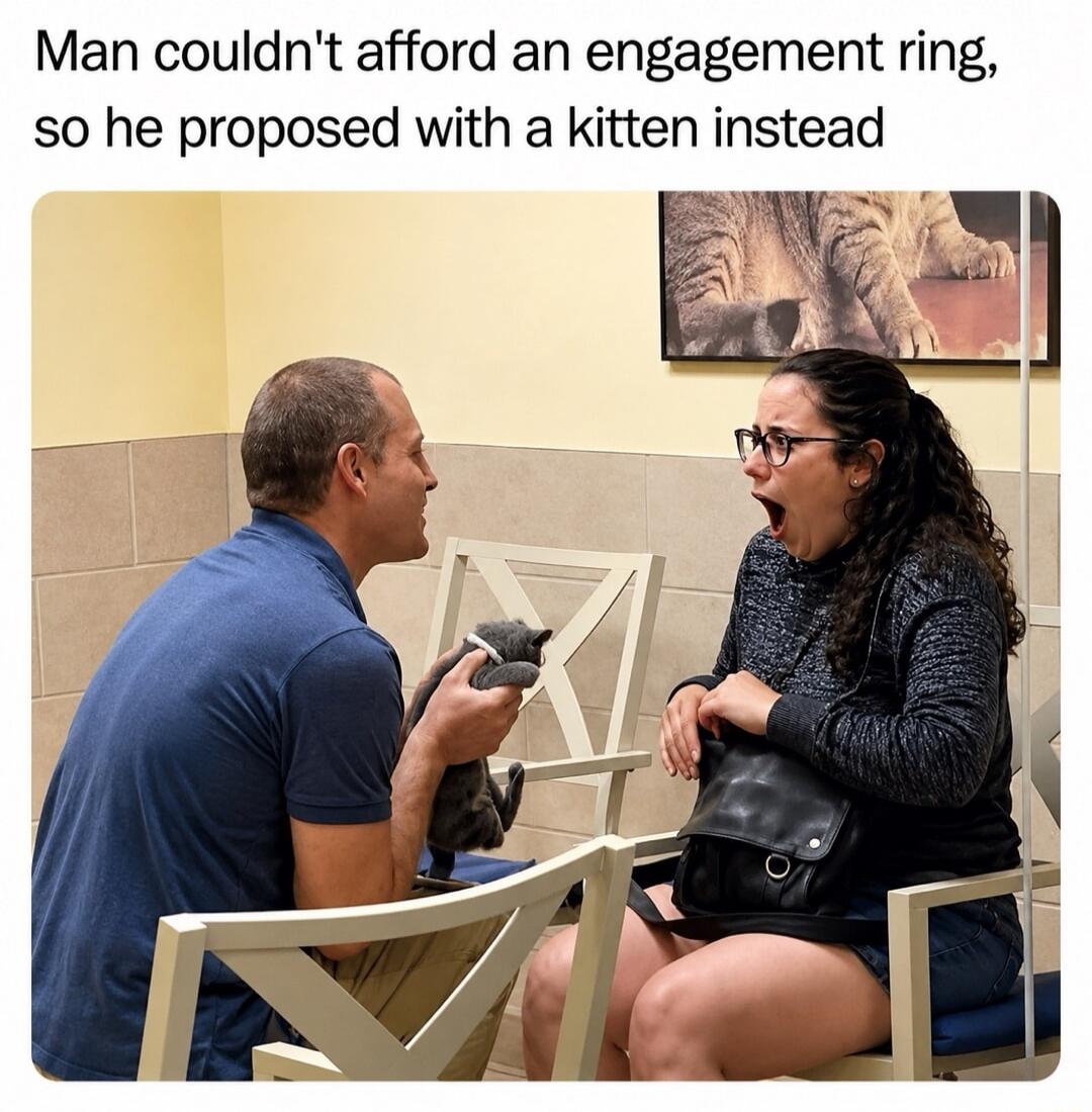 Man couldn't afford an engagement ring, so he proposed with a kitten instead