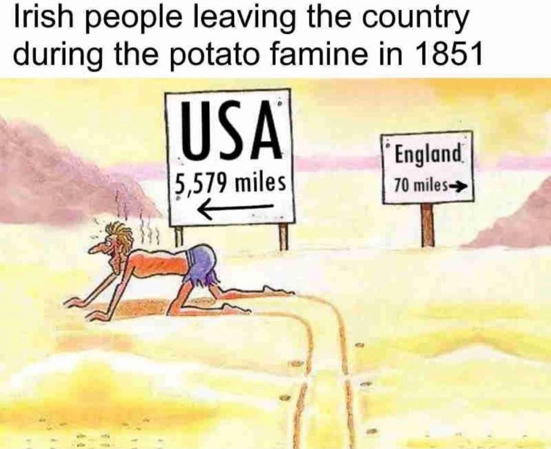 Irish people leaving the country during the potato famine in 1851 USA 3 T gt