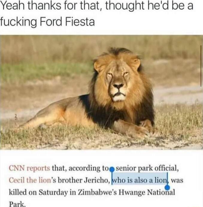 CNN reports that according mT senior park official cil the lions brother Jericho jvho s also a lion was killed on Saturday in Zimbabwes Hwange National