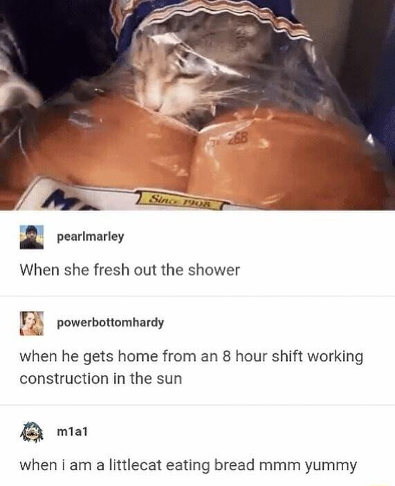 V o 2 pearimarley When she fresh out the shower powerbottomhardy when he gets home from an 8 hour shift working construction in the sun ma when i am a littlecat eating bread mmm yummy