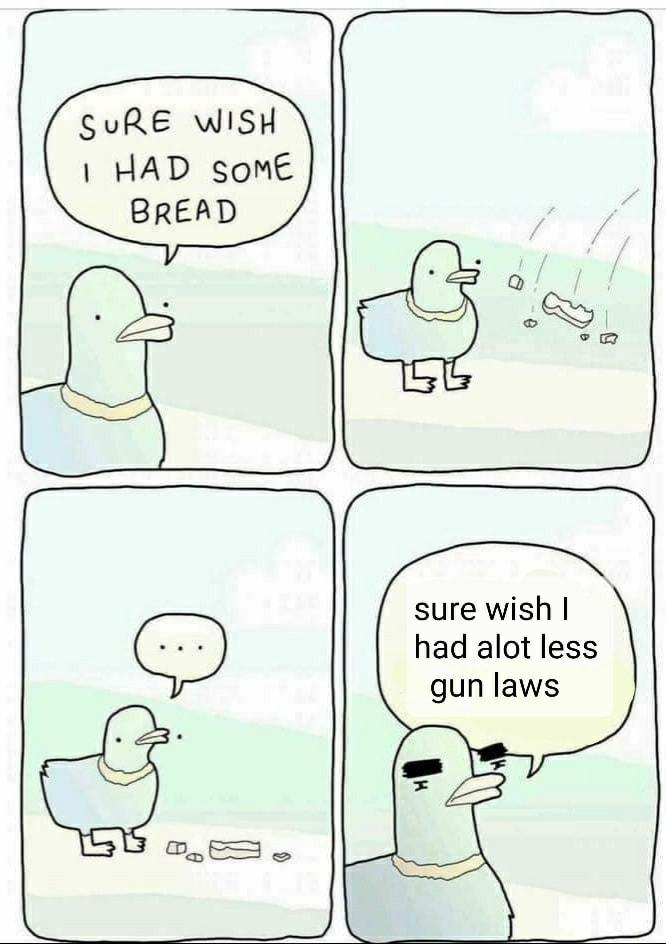 SuRE WISH HAD somE BREAD sure wish had alot less gun laws