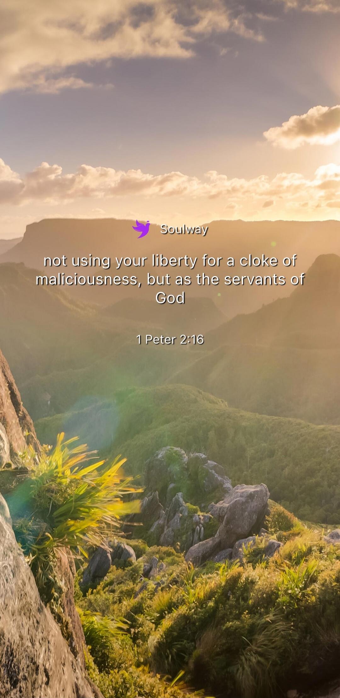 Soulway not using your liberty for a cloke of maliciousness, but as the servants of God 1 Peter 2:16