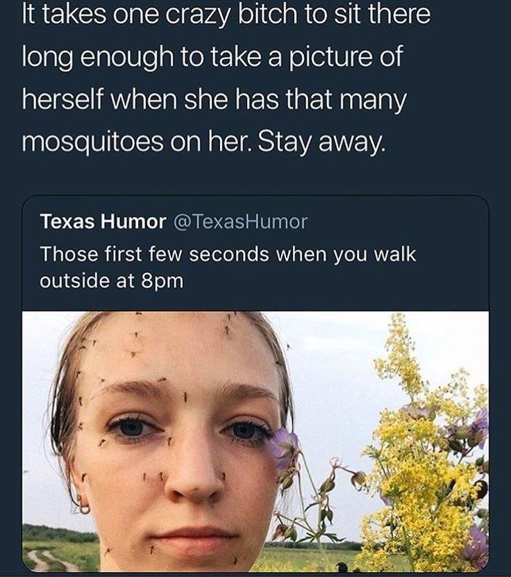 RELCNellXe rvaVA ollte g RteRT Miglle eJaleKTalelU o ahtoR 1 CR Nollei B Xel herself when she has that many mosquitoes on her Stay away Texas Humor TexasHumor Those first few seconds when you walk outside at 8pm