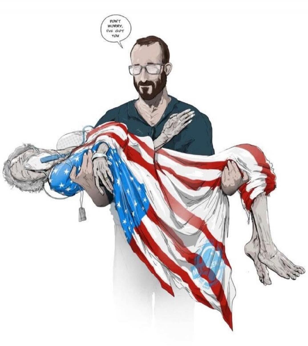 A bearded man in a dark teal shirt is carrying a limp person wrapped in an American flag. The person being carried has a necklace tag visible; a speech bubble above the man reads something like: 'DEEP WORRY, I'M NOT ...' (the exact wording is unclear due to the image quality).