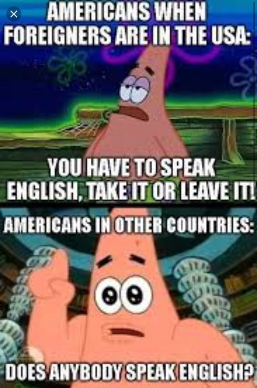 Americans when foreigners are in the USA: You have to speak English, take it or leave it. Americans in other countries: Does anybody speak English?