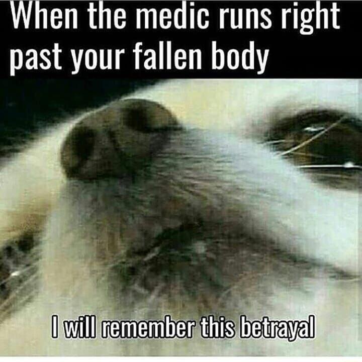 When the medic runs rignt past your fallen body