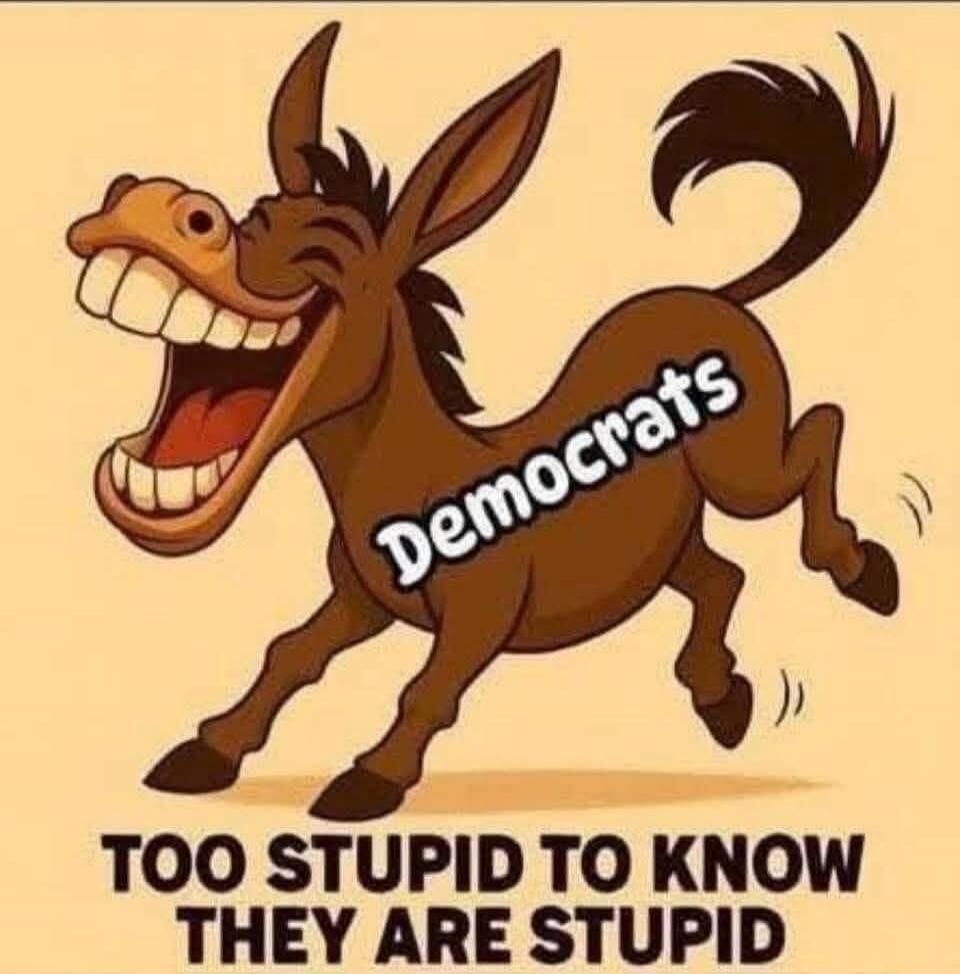 Democrats TOO STUPID TO KNOW THEY ARE STUPID