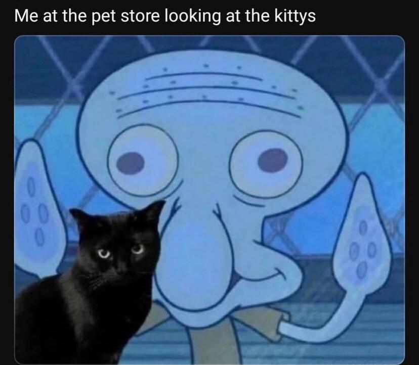 Me at the pet store looking at the kittys