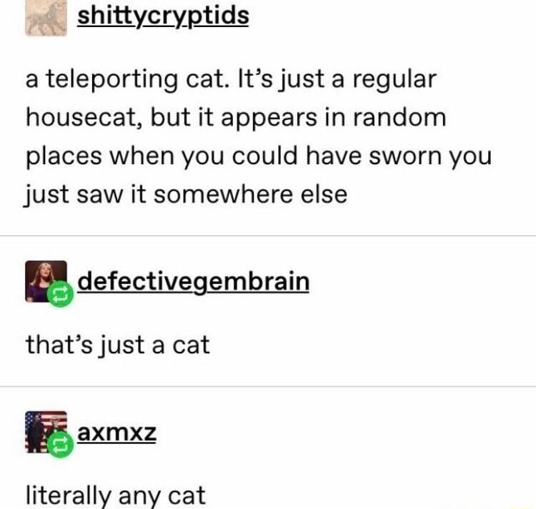 shittycryptids ateleporting cat Its just a regular housecat but it appears in random places when you could have sworn you just saw it somewhere else efecti brai d_es_v_mm_n thats just a cat Baxmxz literally any cat