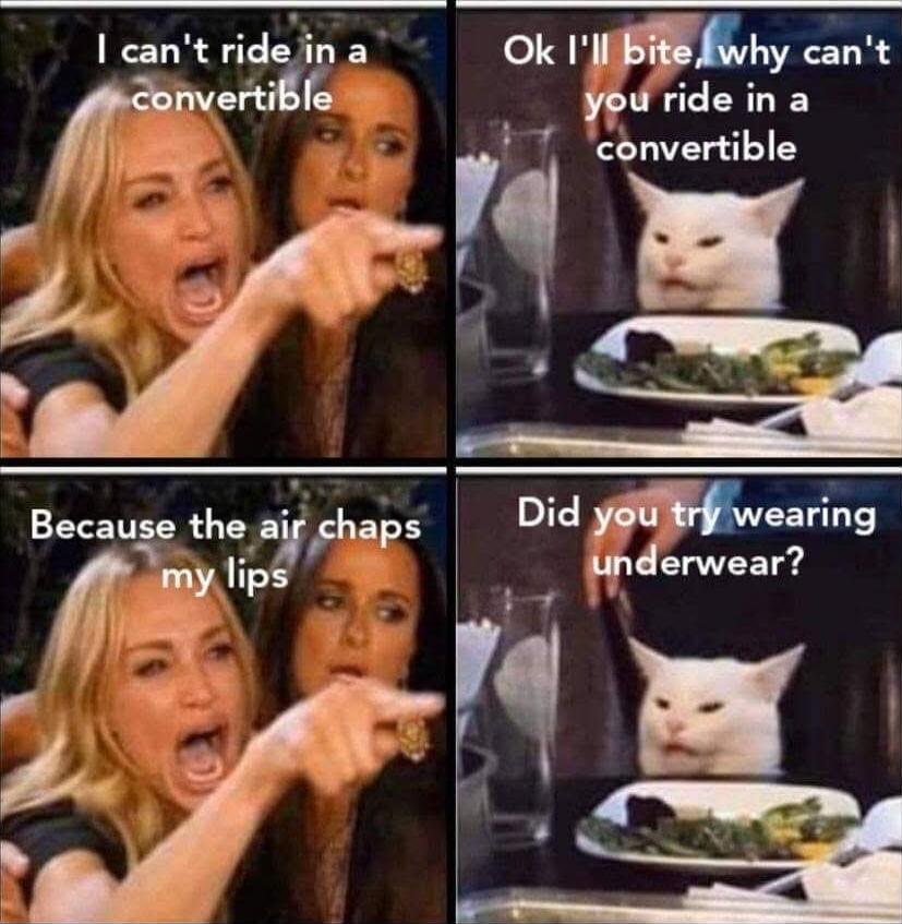 I can't ride in a convertible
Ok I'll bite, why can't you ride in a convertible
Because the air chaps my lips
Did you try wearing underwear?