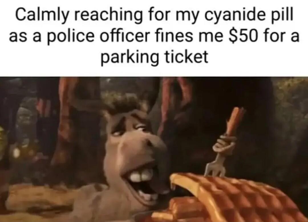 Calmly reaching for my cyanide pill as a police officer fines me 50 for a parking ticket