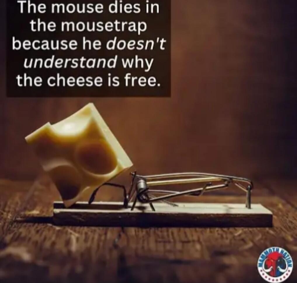 The mouse dies in the mousetrap because he doesn't understand why the cheese is free.
