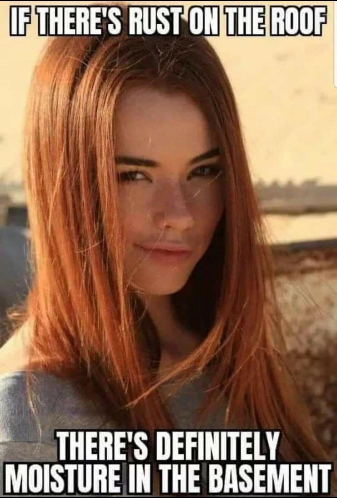 IF THERE'S RUST ON THE ROOF THERE'S DEFINITELY MOISTURE IN THE BASEMENT