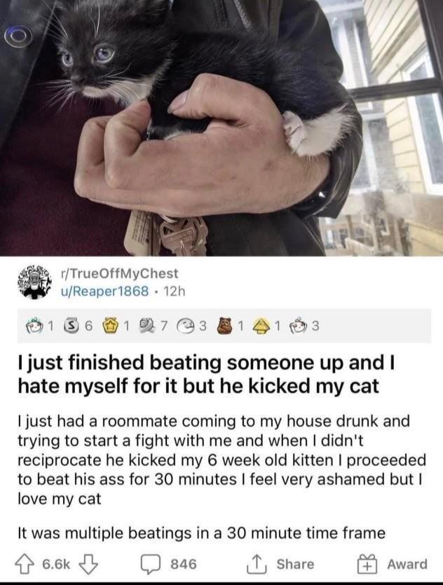 I just finished beating someone up and hate myself for it but he kicked my cat 1just had a roommate coming to my house drunk and trying to start a fight with me and when didnt reciprocate he kicked my 6 week old kitten proceeded to beat his ass for 30 minutes feel very ashamed but love my cat It was multiple beatings in a 30 minute time frame 66k sae T share Award