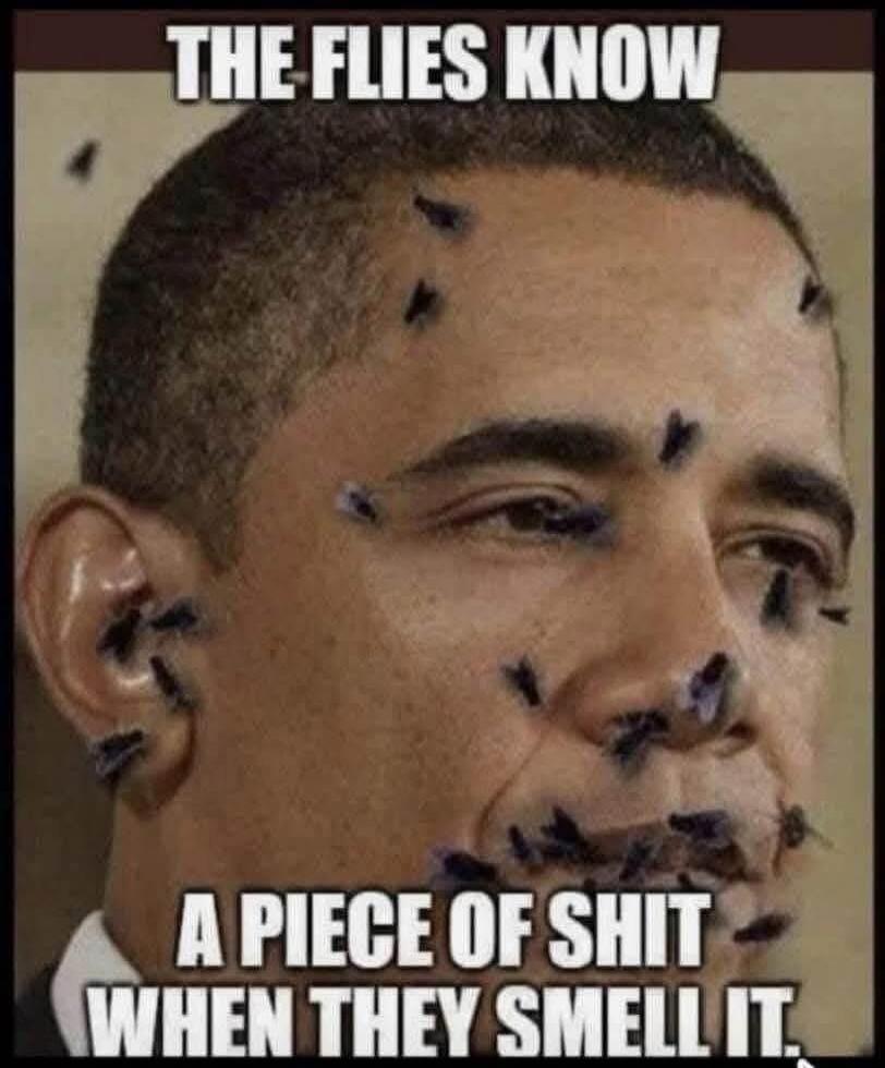 THE FLIES KNOW A PIECE OF SHIT WHEN THEY SMELL IT.