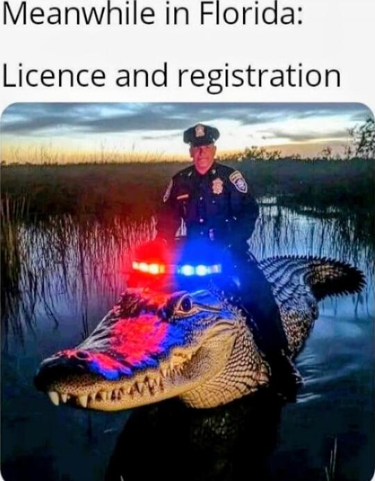Meanwhile in Florida: Licence and registration