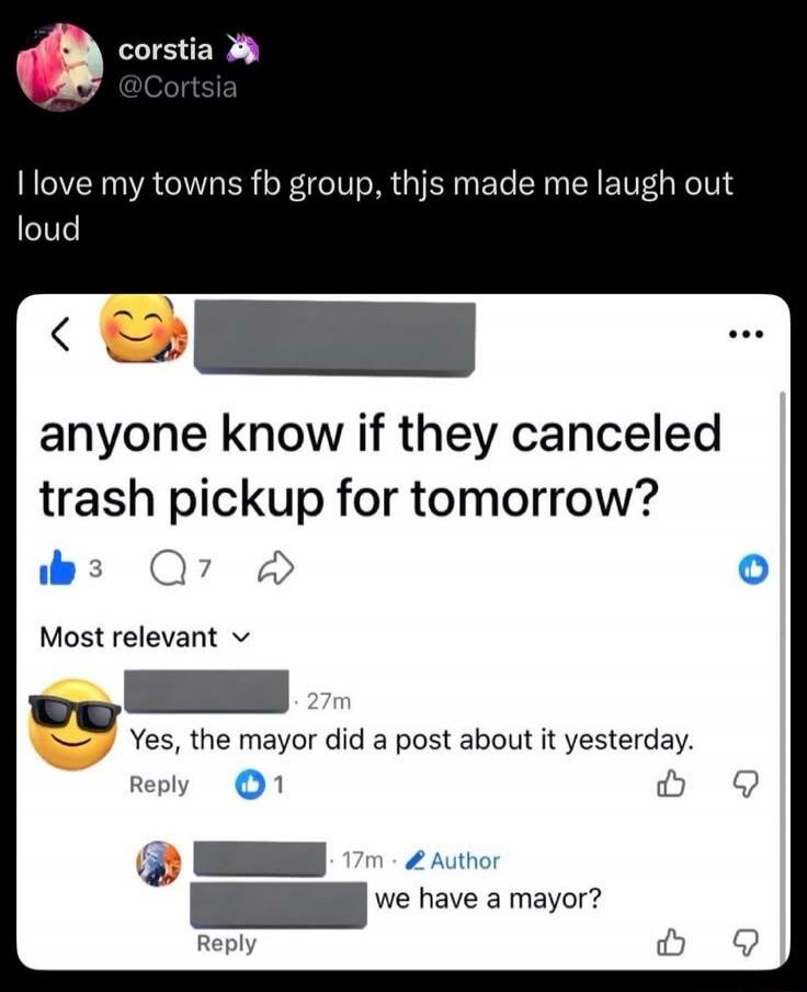 I love my town's Facebook group, this made me laugh out loud. Anyone know if they canceled trash pickup for tomorrow? Yes, the mayor did a post about it yesterday. We have a mayor?