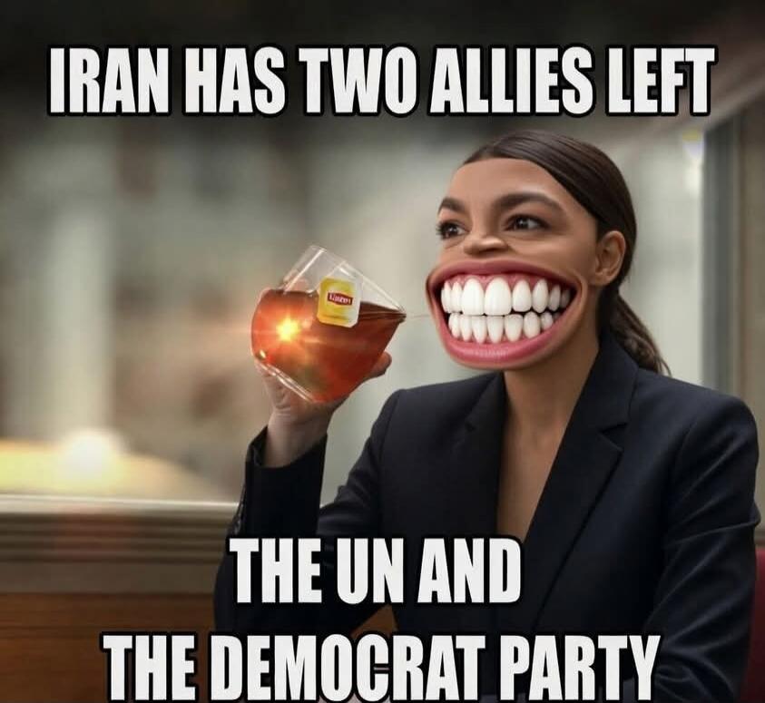 IRAN HAS TWO ALLIES LEFT THE UN AND THE DEMOCRAT PARTY