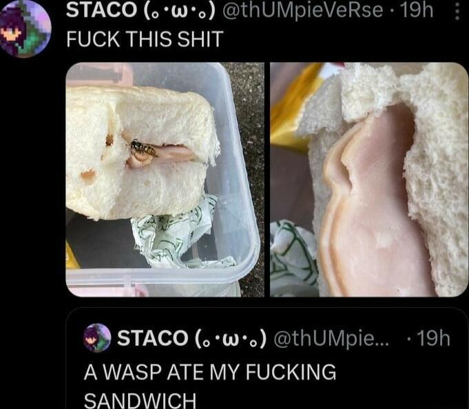 STACO o wo thUMpieVeRse 19h W3 FUCKTHIS SHIT STACO o w0 thUMpie 19h A WASP ATE MY FUCKING SANDWICH