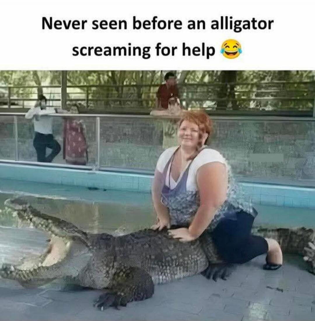 Never seen before an alligator screaming for help 😂