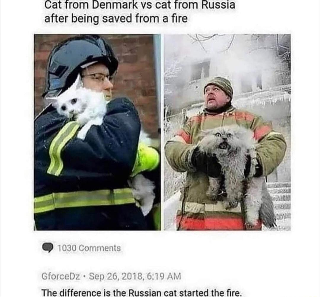 Cat from Denmark vs cat from Russia after being saved from a fire The difference is the Russian cat started the fire