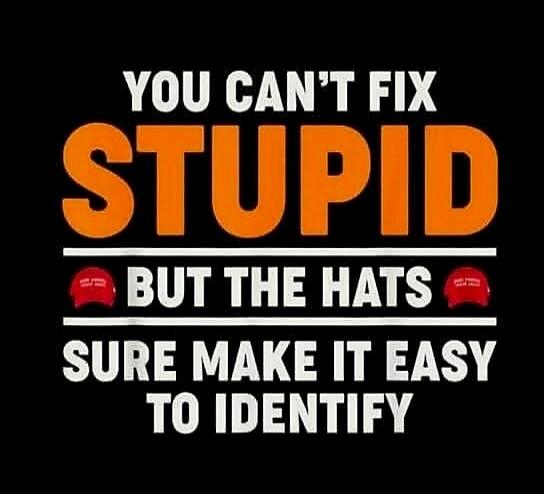 YOU CAN'T FIX STUPID BUT THE HATS SURE MAKE IT EASY TO IDENTIFY