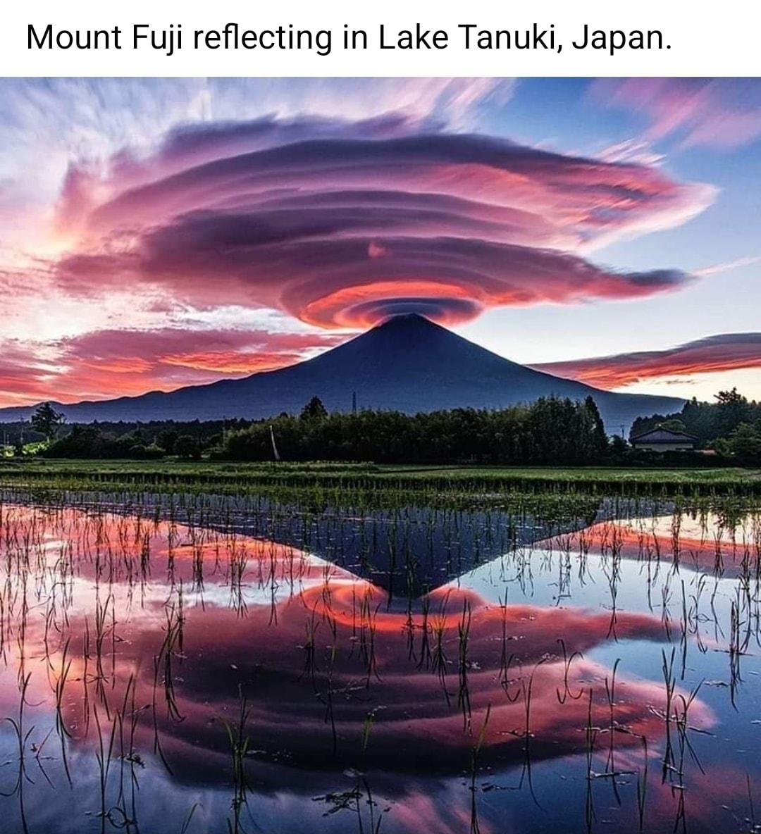 Mount Fuji reflecting i ke Tanuki Japan