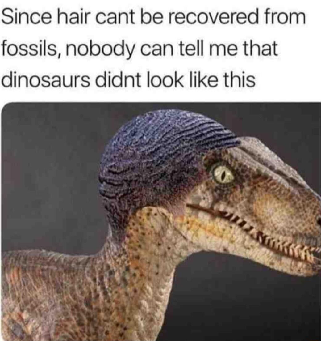 Since hair cant be recovered from fossils nobody can tell me that dinosaurs didnt look like this